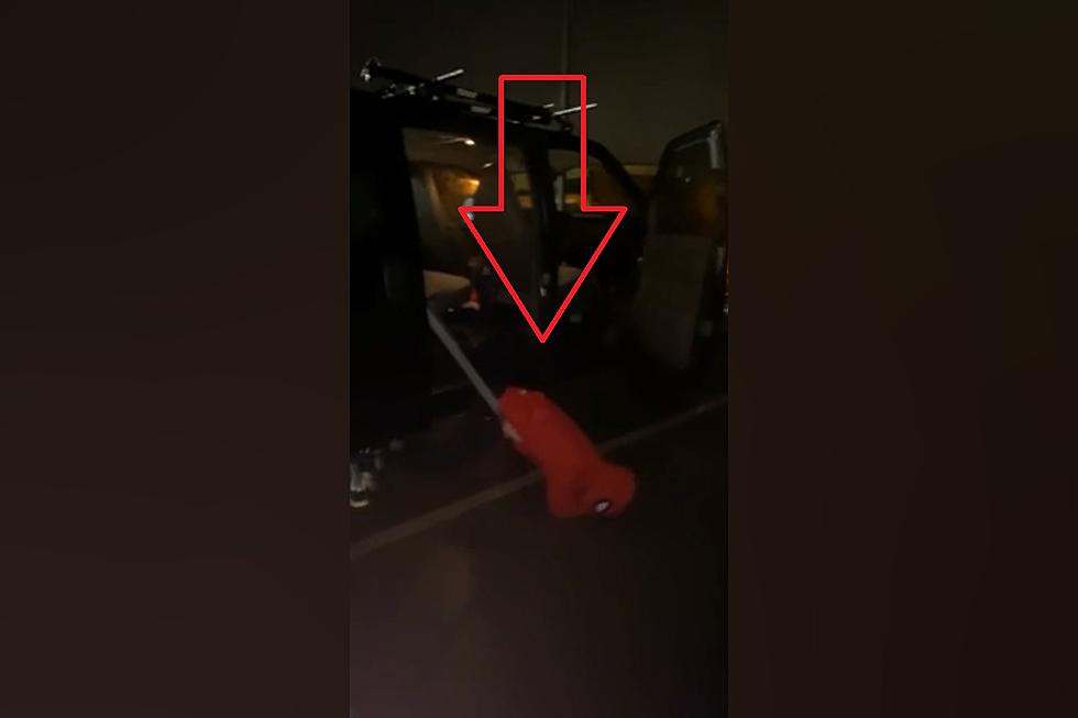 Watch Wannabe Missouri Spiderman Get Foiled by a Seat Belt