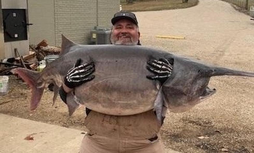 This Pittsfield Man Just Caught a Record Paddlefish in Missouri