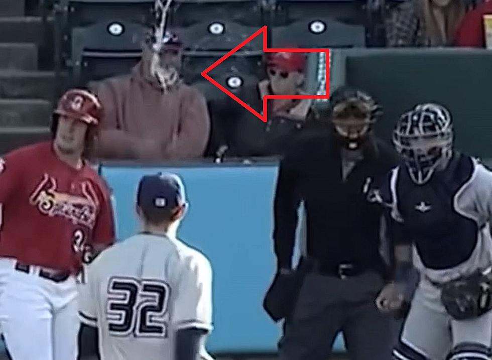 Watch a Springfield Cards Fan Get a Beer Bath from a Foul Ball