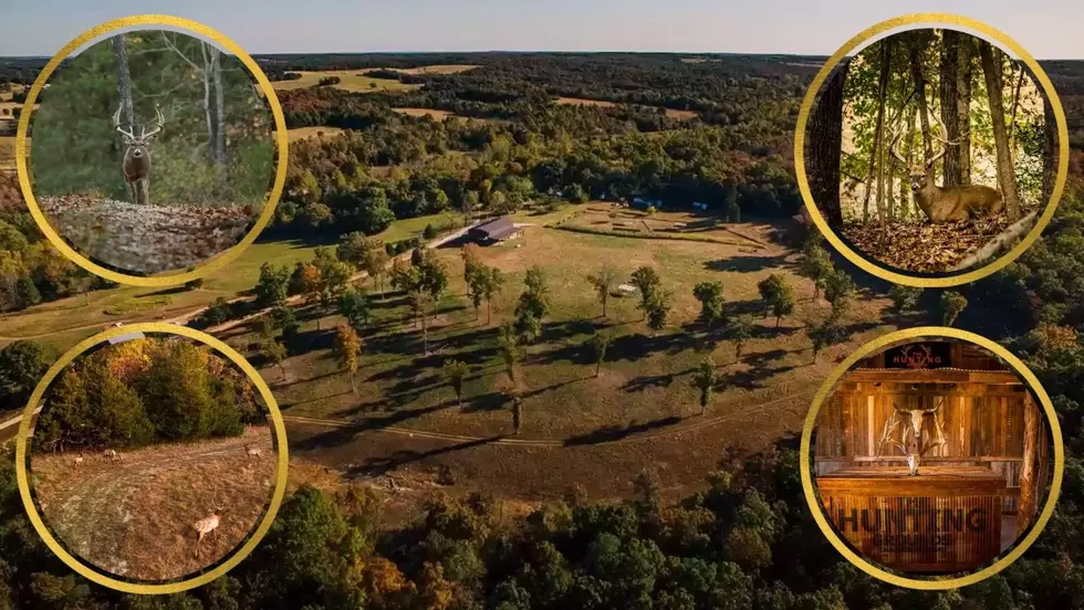 See All the Deer in a $4.5 Million Missouri Hunting Paradise