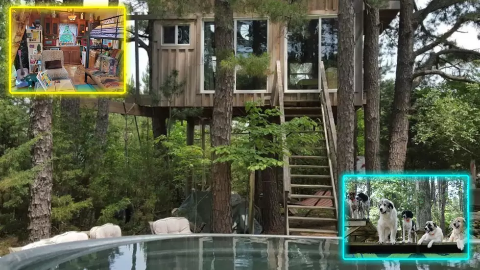 Check Out an Enchanting Missouri Treehouse with Dogs & Chickens