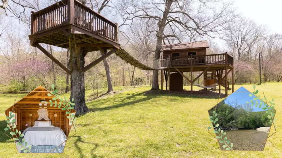 This Might Be the Fanciest Treehouse in Missouri Maybe