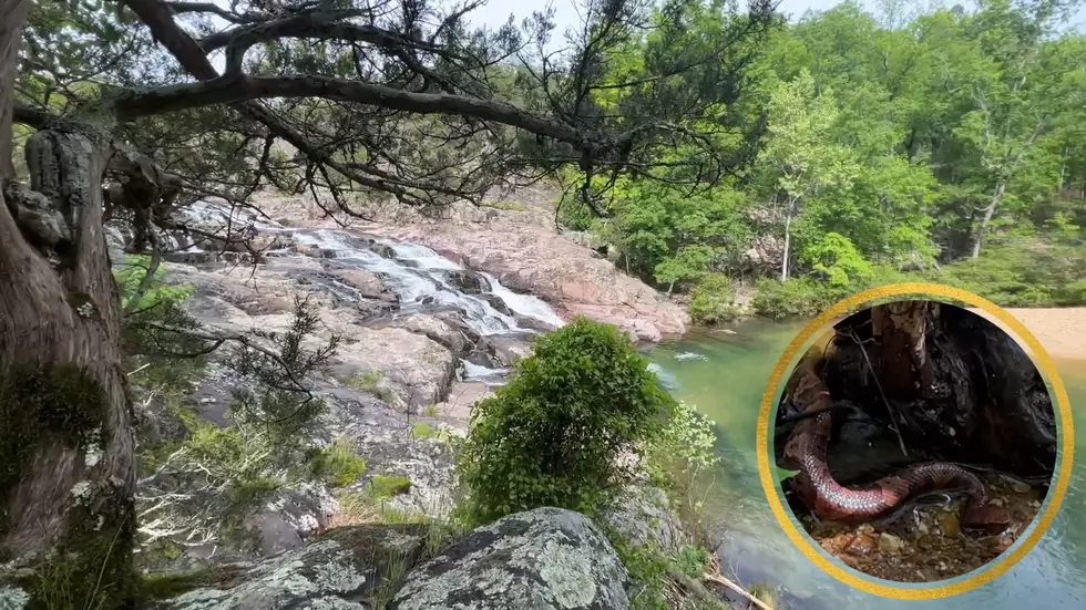 Man Visits Missouri’s Rocky Falls, Gets Greeted by Venomous Snake