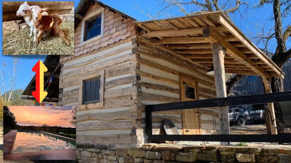 See a 1800’s Missouri Smokehouse with Baby Lambs & a Sweet Pool