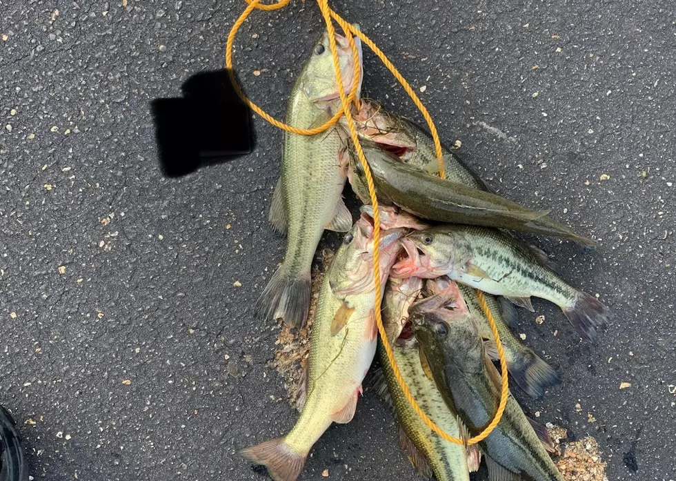 Missouri Man Bragging About Fish on Social Media Got Him Busted
