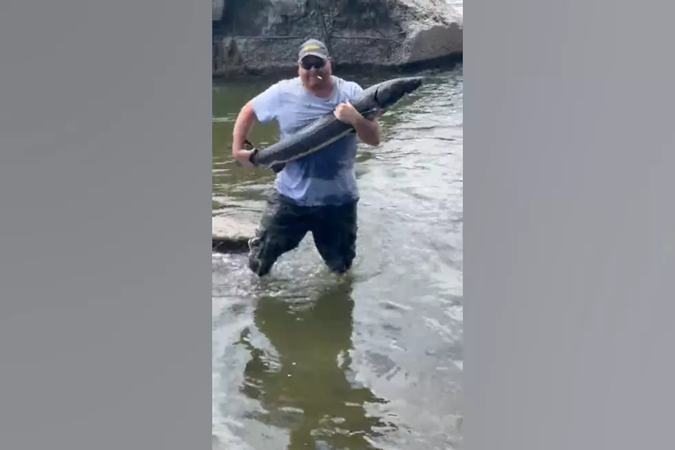 Watch a Midwest Dude Catch a Massive Sturgeon with His Bare Hands