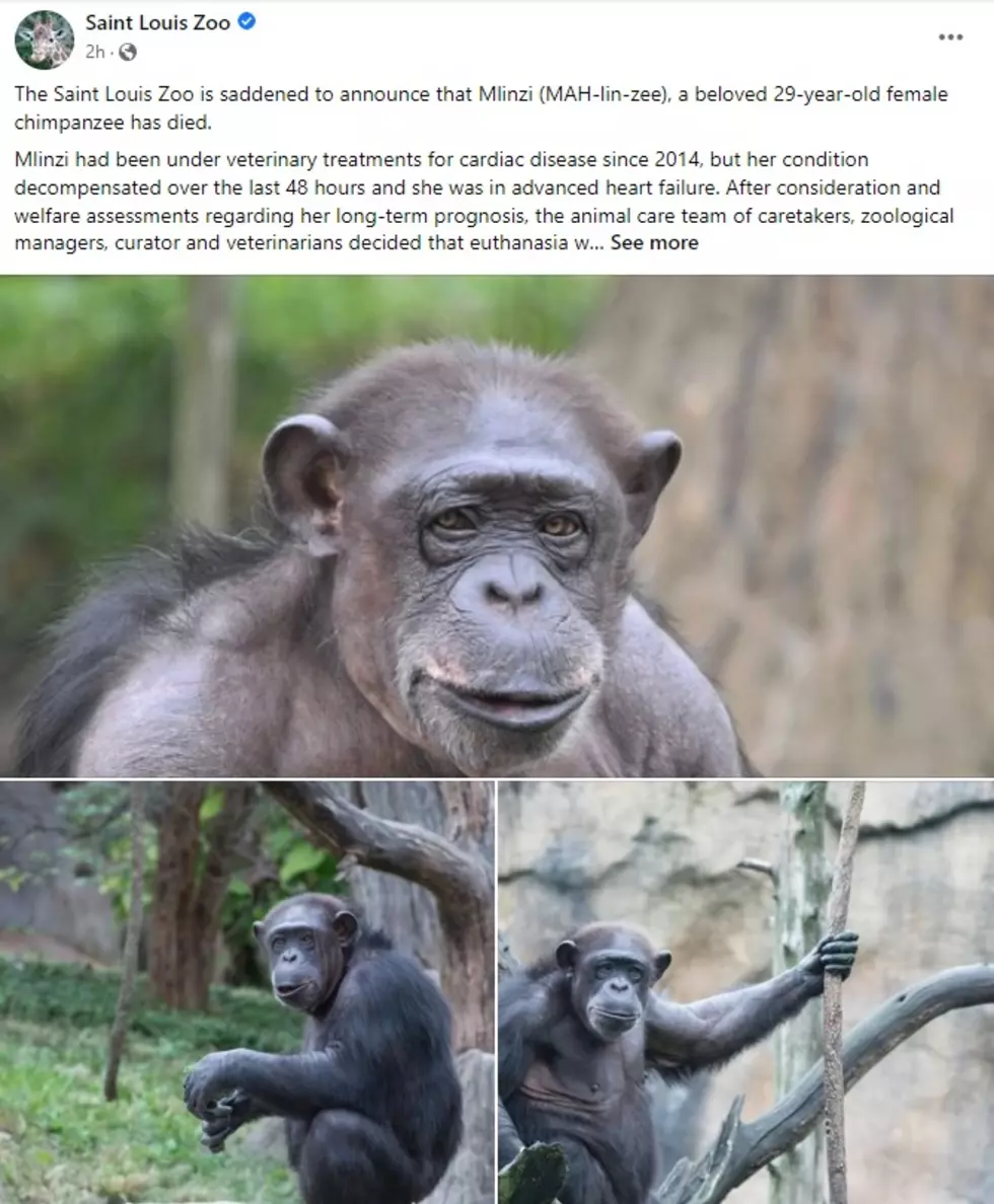 St. Louis Zoo, Facebook