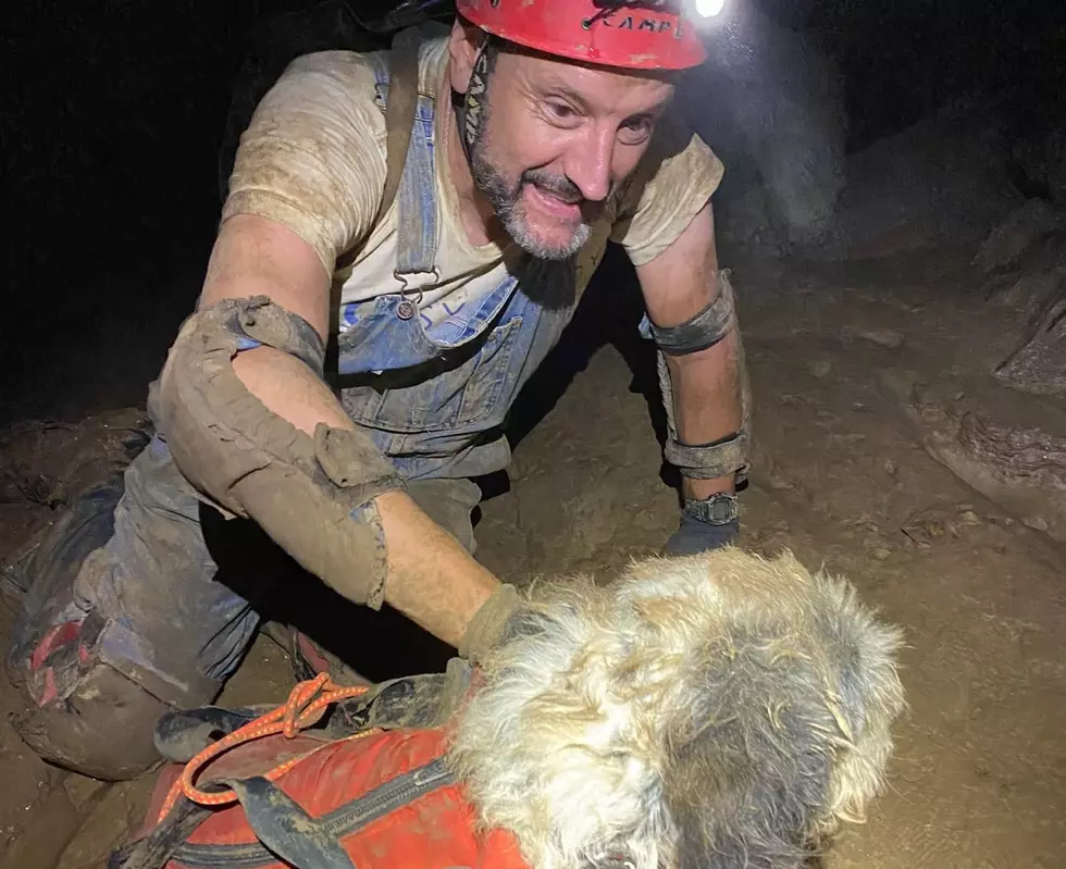 Dog Lost Since June Found Alive and Well in a Missouri Cave