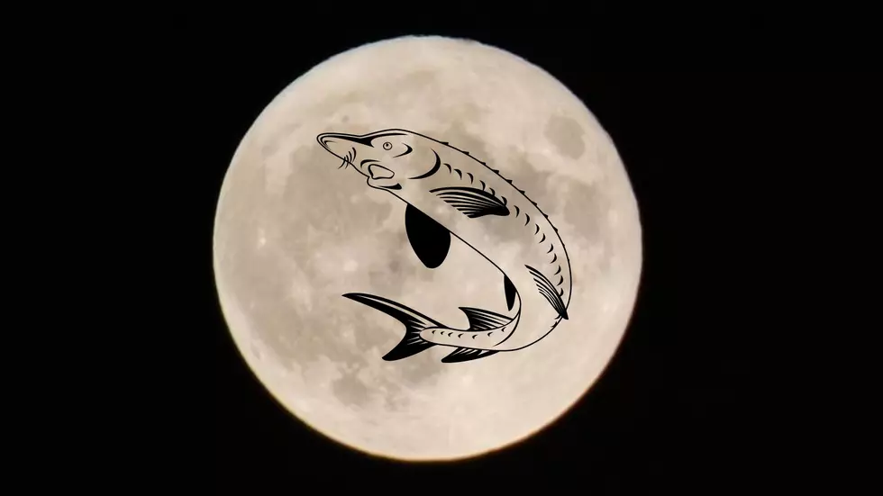 The Last Supermoon of 2022 Happens in August & It’s a Sturgeon