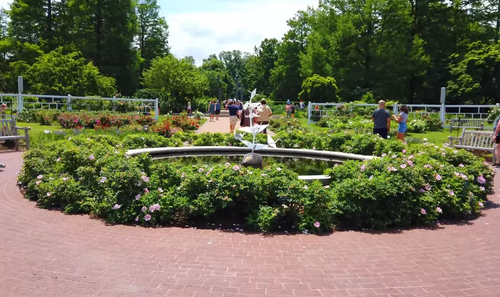 This Botanical Garden in Missouri Named Most Beautiful in America