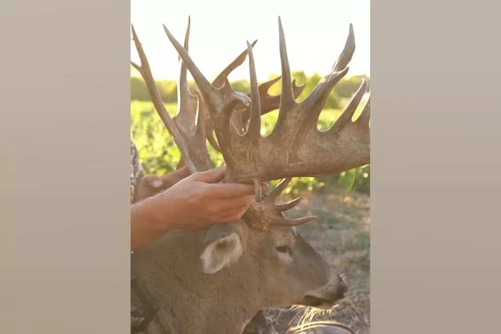 Hunter Shares What Might Be Missouri State Archery Record Buck