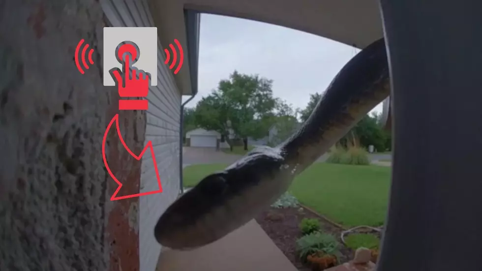 Kansas Family Shocked to Learn a Snake is Ringing their Doorbell