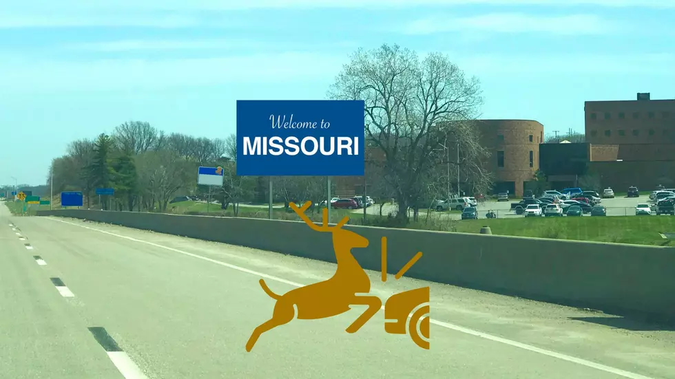 Missouri One of Most Dangerous States for Deer Collisions