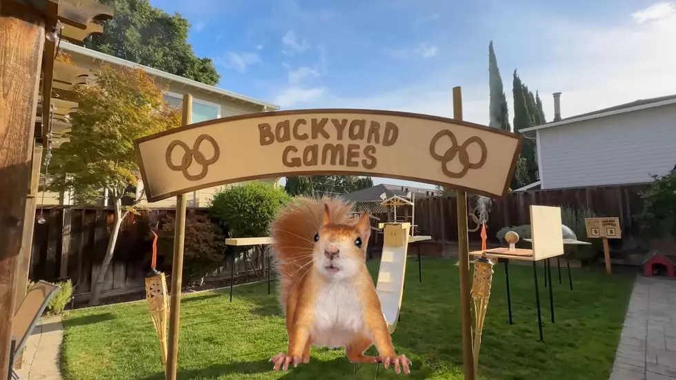Watch Squirrels Compete for Nuts in a NASA Engineer’s Backyard