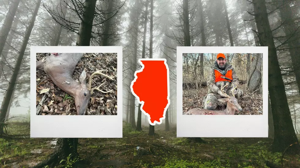 Illinois Hunter Shares Pictures of Epic Rare Hairless Buck