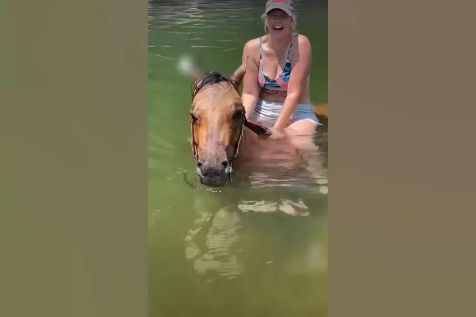 A Horse Named Goose in Missouri’s Ozarks Just Won’t Stop Moaning