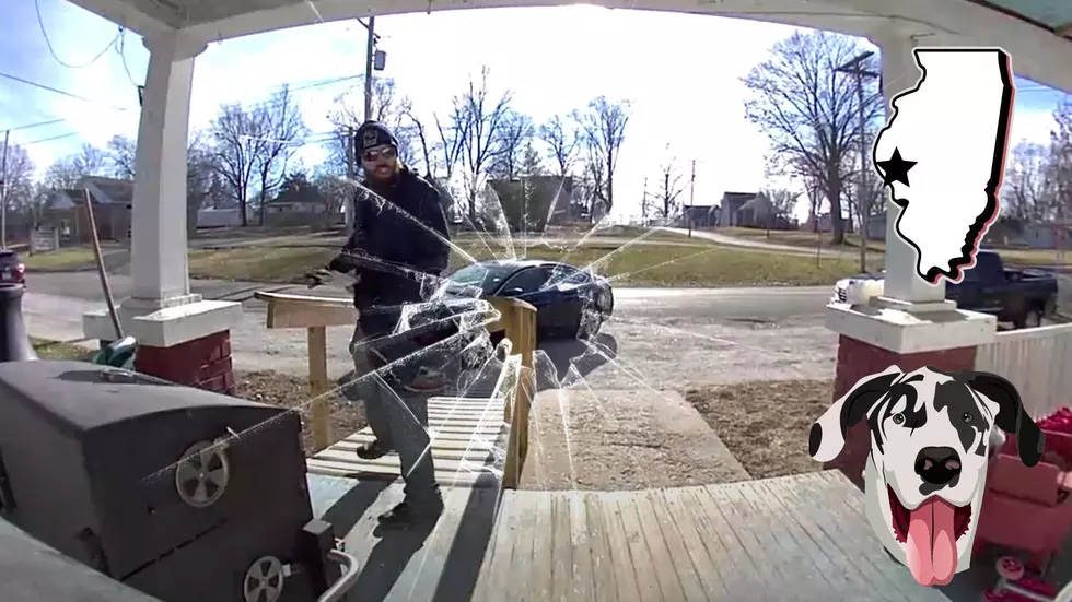 Barry, Illinois Doorbell Cam Shows Moment Dog Shattered Door