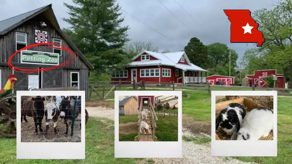 See Pics of a Wild Missouri Airbnb That's Also a Petting Zoo
