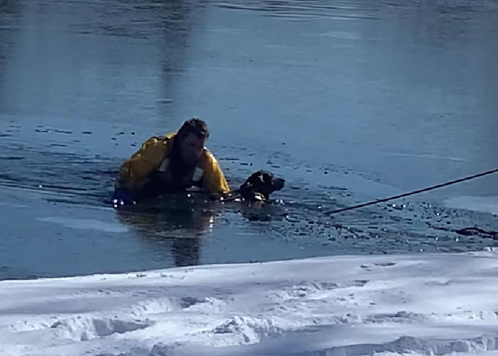 Watch Illinois Firefighter Heroically Rescue Dog from Frozen Lake