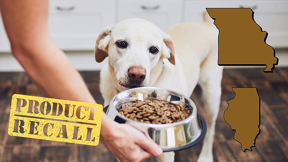 There’s a Massive Dog Food Recall Affecting Missouri and Illinois