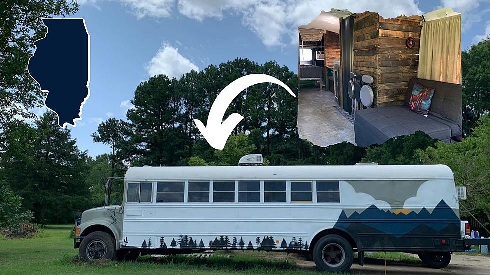 Someone Turned an Old Illinois School Bus into a Tiny Nature Home