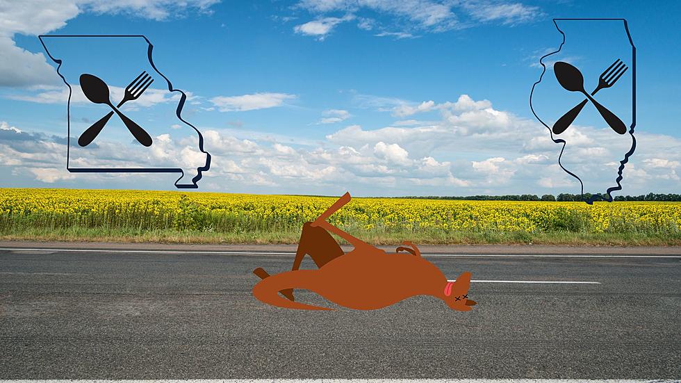 Legal to Eat Roadkill in Missouri &#038; Illinois? It&#8217;s Complicated