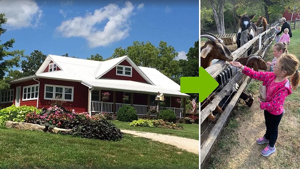 Would You Believe this Missouri Airbnb is Also a Petting Zoo?