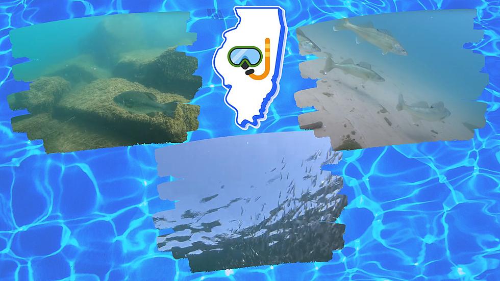 It’s True, One of America’s Top 3 ‘Cleanest’ Lakes is in Illinois
