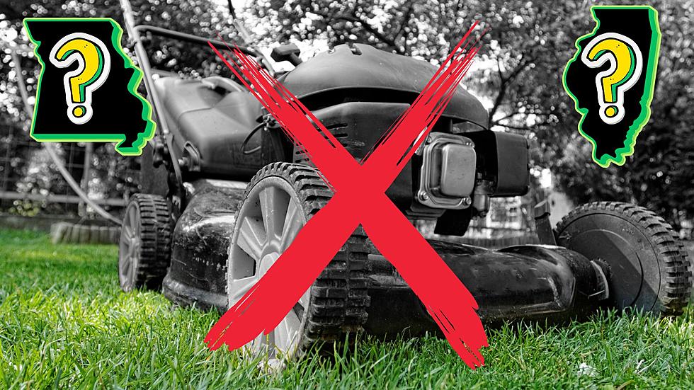 See Why We're Told to NOT Mow Missouri & Illinois Lawns in May