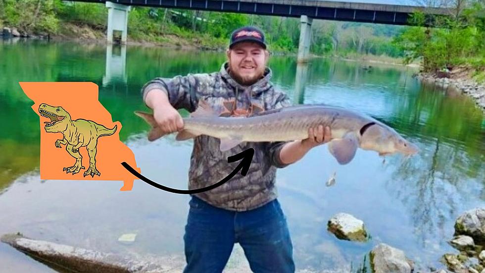Jurassic Sturgeon? Missouri Man Caught Himself a Prehistoric Fish