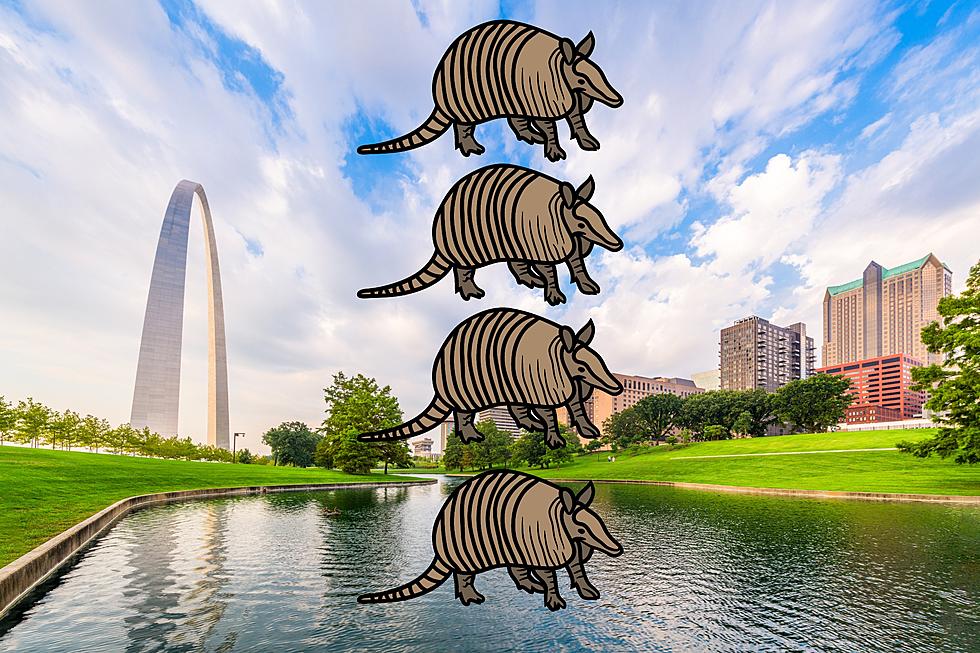 Here’s Evidence that Armadillos are Trying to Take Over Missouri