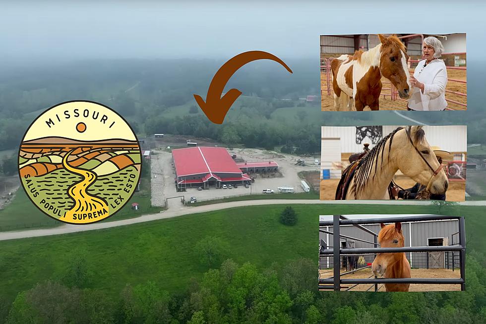 This Missouri Place is a Safe Haven for Abused &#038; Neglected Horses