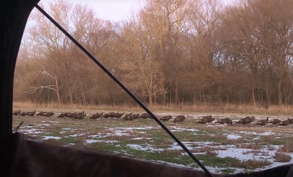 This Missouri Deer Hunter Got Mercilessly Mocked by 135 Turkeys