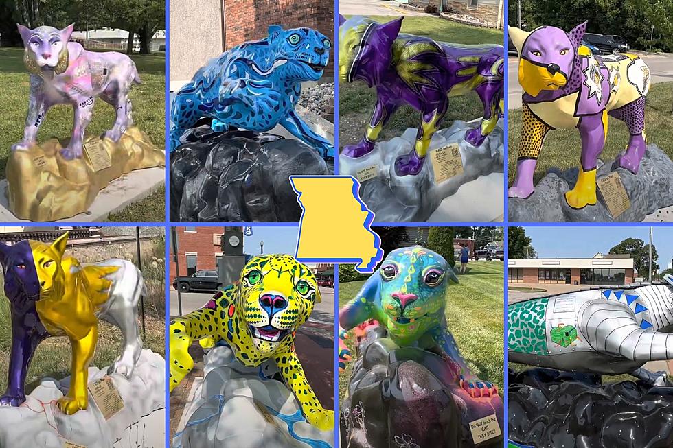 See the Missouri Town that’s Full of Lots and Lots of Cat Statues