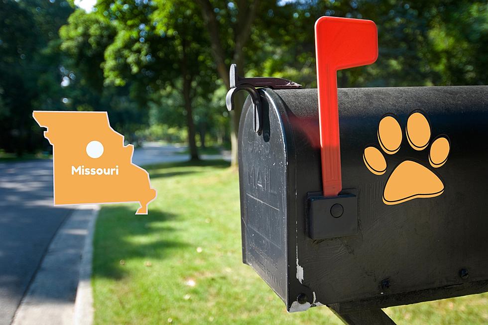 Paw Print on a Missouri Mailbox? This is Why & the Color Matters