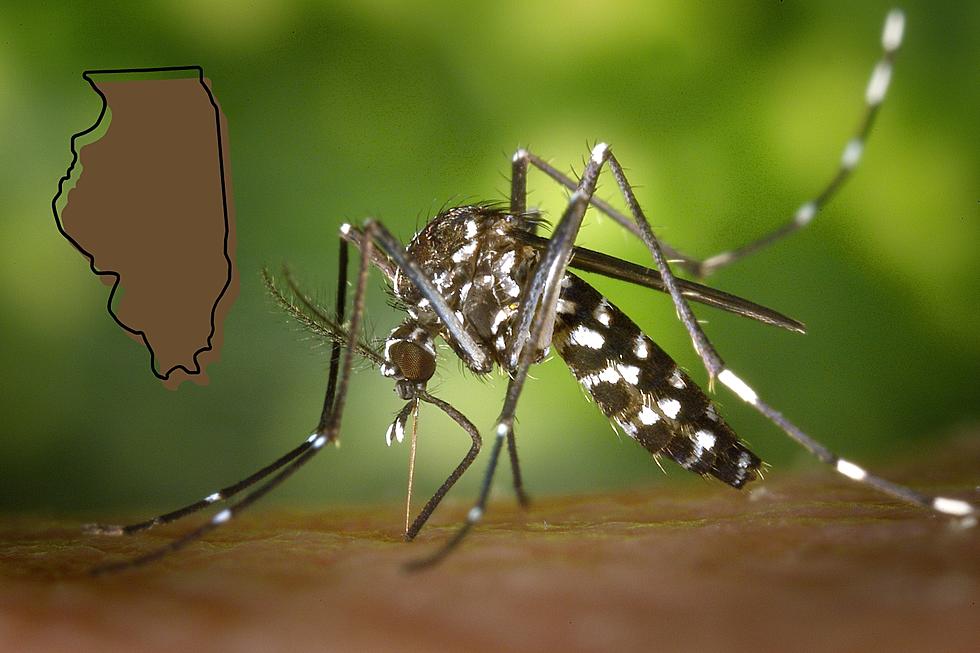 3 Illinois Counties Now Have Mosquitos with West Nile Virus
