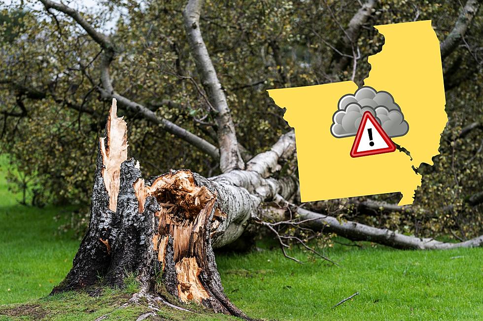 Storm Danger – Hail, Damaging Gusts Friday in Missouri & Illinois