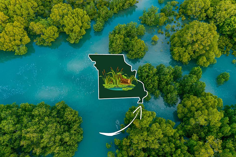 Did You Know Missouri’s Bootheel Used to Be a Great Big Swamp?