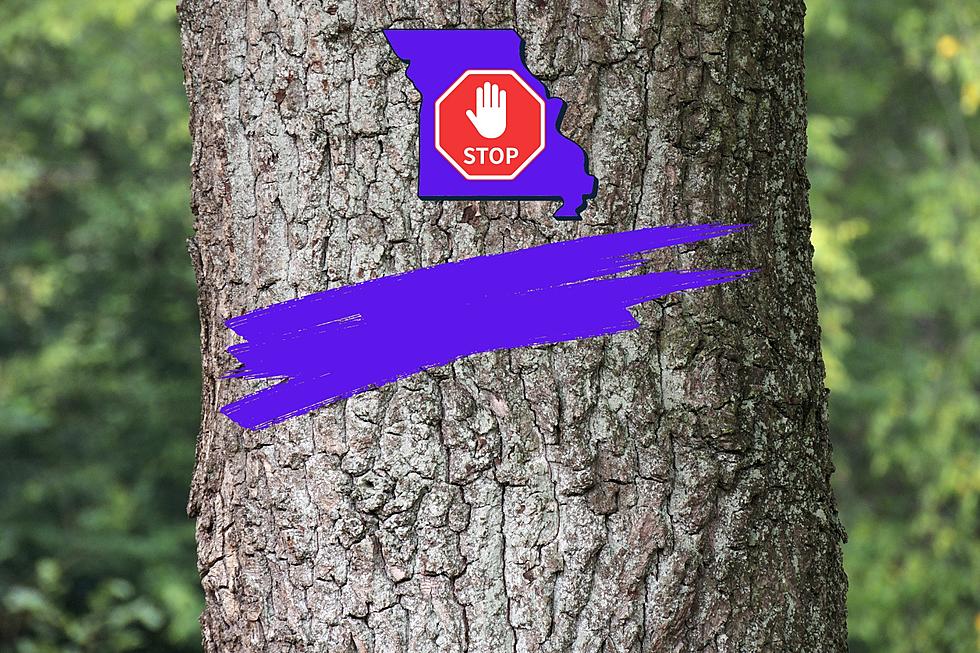 Purple Paint on a Tree in Missouri? Leave or You&#8217;re in Trouble