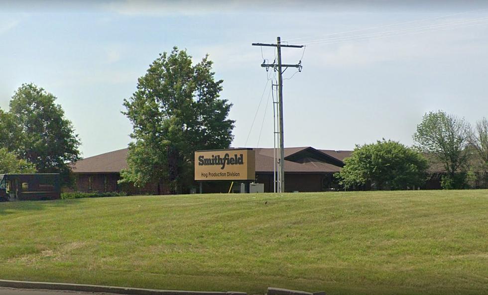 Smithfield Closing 35 Missouri Hog Sites, 92 Jobs Lost in October