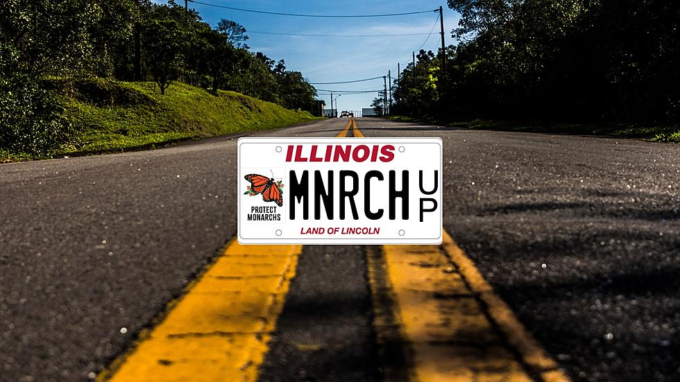 Here’s How You Can Get a Monarch License Plate in Illinois