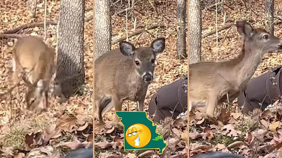 Missouri Hunter Scares Away a Deer in Most Missouri Way Possible