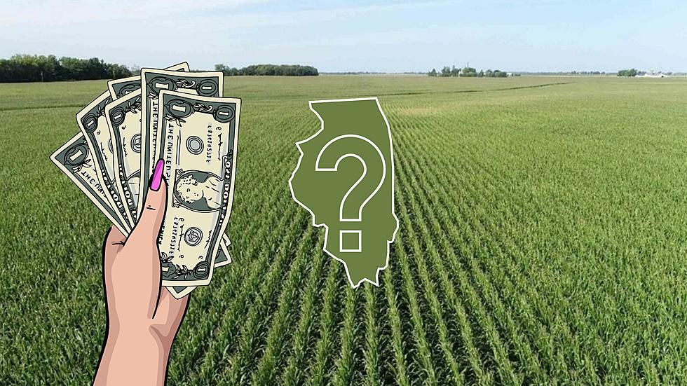 Illinois' Most Expensive Land Isn't a Mansion, It's This Farm