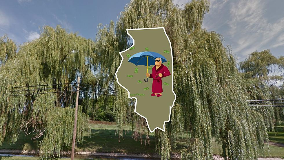 Illinois’ Richest Small Town? It’s Surrounded by Forest Preserves