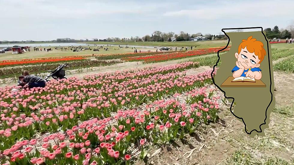 Illinois’ Most Boring Place is Only Boring if You Hate Tulips