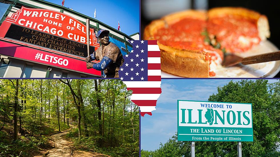 5 Types of People Who Would Legit Really Love Living in Illinois