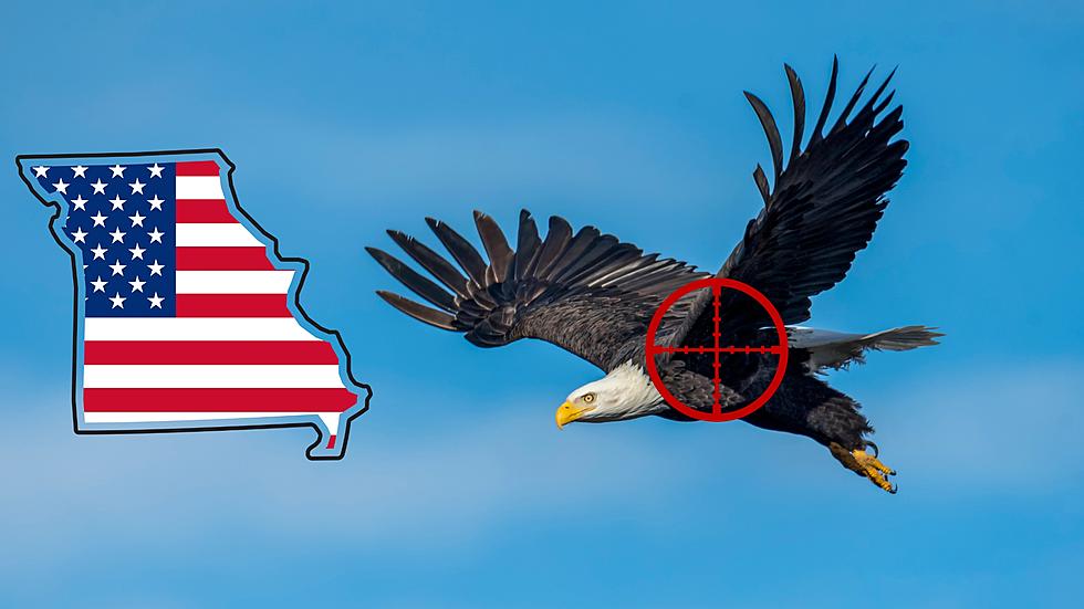 A Loser Shot and Killed an Eagle in Missouri – Help Bust Them