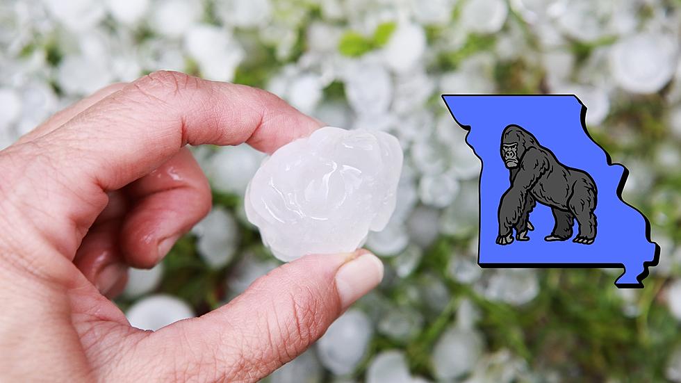 Storm Chasers Capture Video of Gorilla Hail that Pounded Missouri