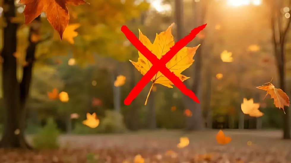 Farmer’s Almanac Says Missouri Fall Will Be Unusual