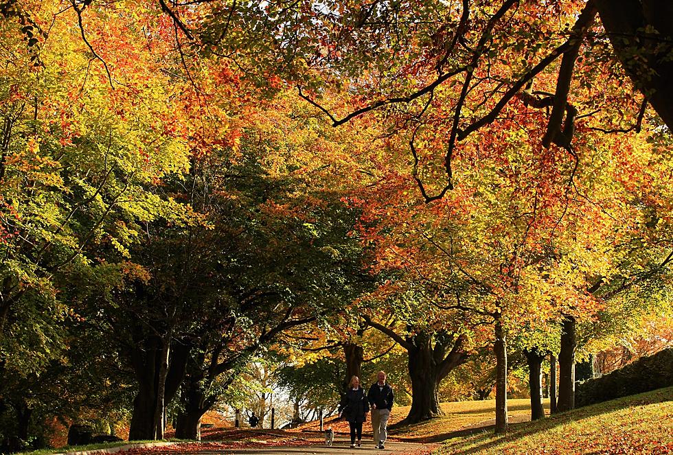 Food, Festivals, Foliage – What’s Your Favorite Thing About Fall?